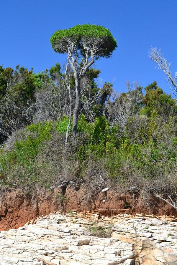 Abba Apartments Mali Losinj Bagian luar foto